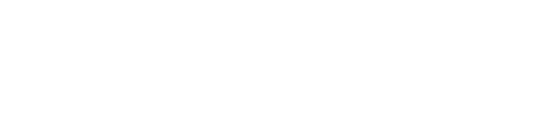 Fundacion empleo